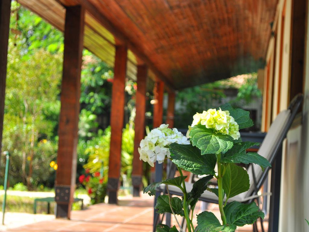 Hotel Hobbit Evi Çıralı Exteriér fotografie