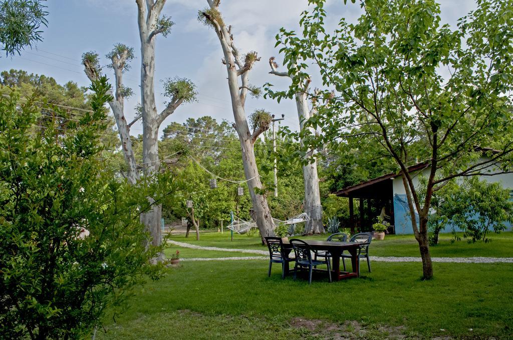 Hotel Hobbit Evi Çıralı Exteriér fotografie